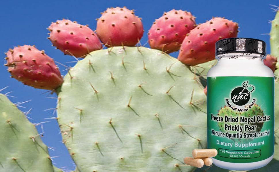 Natural Home Cures Freeze Dried Nopal Powder Capsules (Prickly Pear Supplements) - Leaf